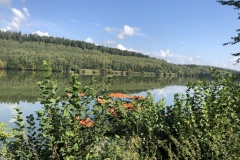 Die Kinizigtalsperre            Foto: Link